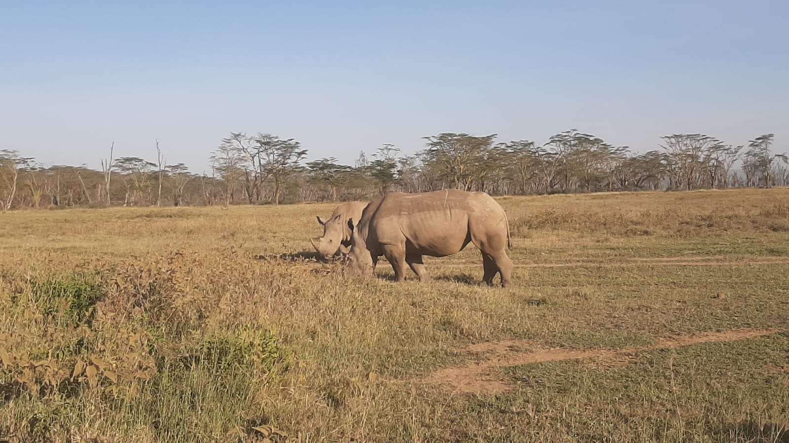 7 days tour to the rift