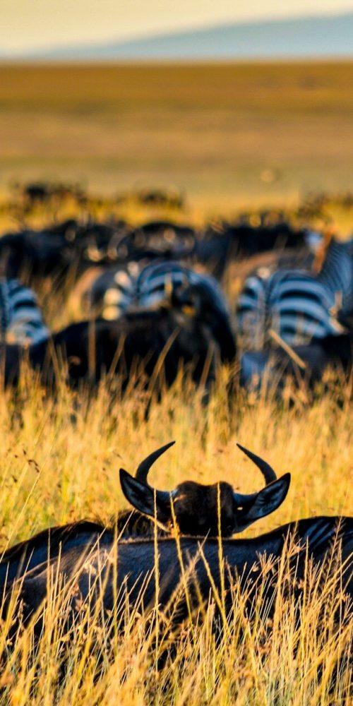 bibhash-polygon-cafe-banerjee-C4VHIP7LH58-unsplash bibhash-polygon-cafe-banerjee-C4VHIP7LH58-unsplash