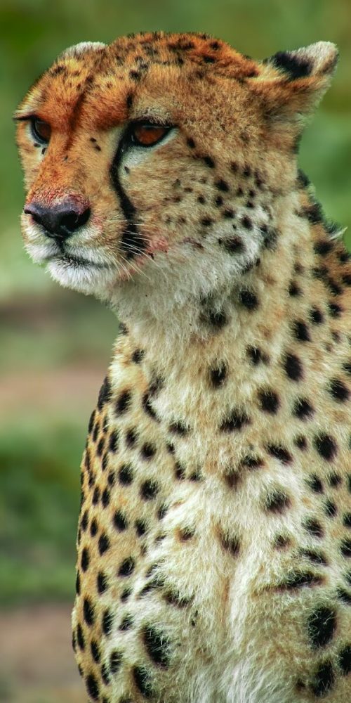 jordi-rubies-2M3pY9z4HqQ-unsplash jordi-rubies-2M3pY9z4HqQ-unsplash